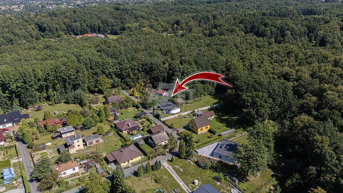 Fotka 5 z 16